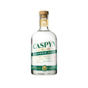 Pocketful of Stones - Caspyn Cucumber & Dill Midsummer Dry Gin 70cl