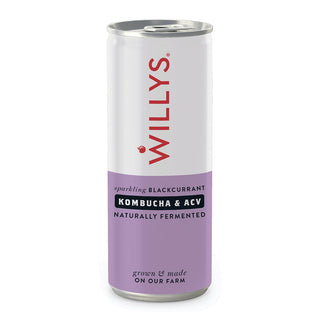 Willys ACV - Willy's Sparkling Blackcurrant, Kombucha & ACV Drink (Apple Cider Vinegar) 250ml Can