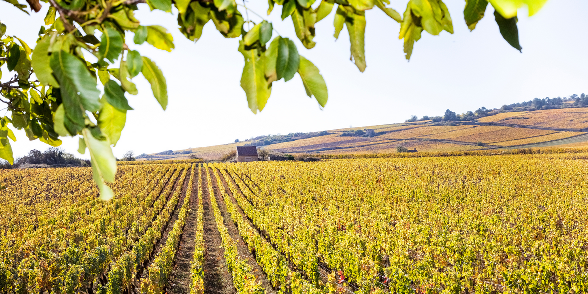 Exploring Burgundy, France