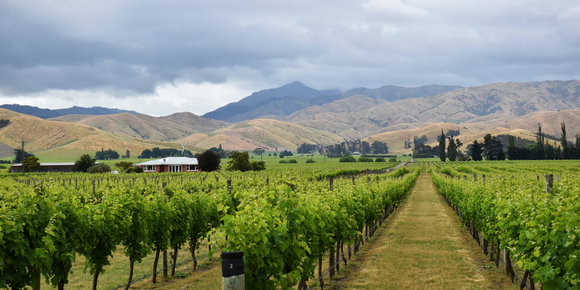 Exploring Marlborough, New Zealand