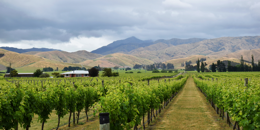 Exploring Marlborough, New Zealand