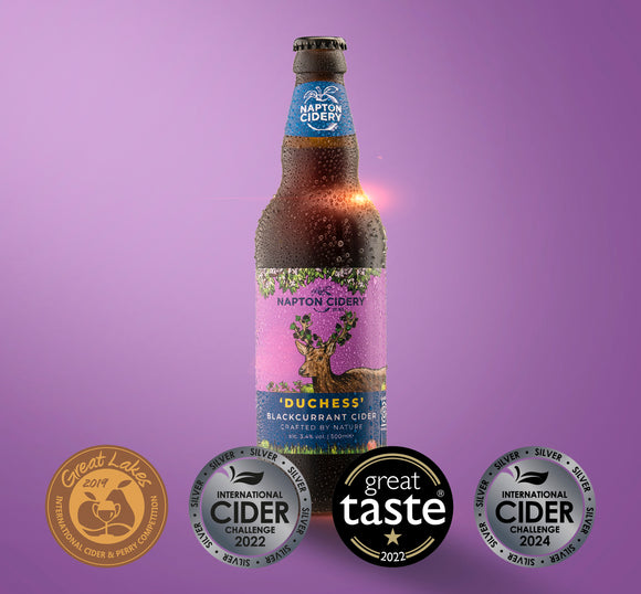 Napton Cidery – Duchess Blackcurrant Cider | 3.4% ABV Slightly Sparkling Cider 500ml Glass Bottle