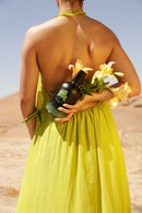 Afrique Vodka | Apple & Coconut + Original | 35% & 40% ABV | 70cl Each | Premium Flavoured Vodka & Classic Vodka-2