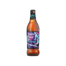 Adnams 500ml Bottled Beer Taster Selection – 12 Bottles-2