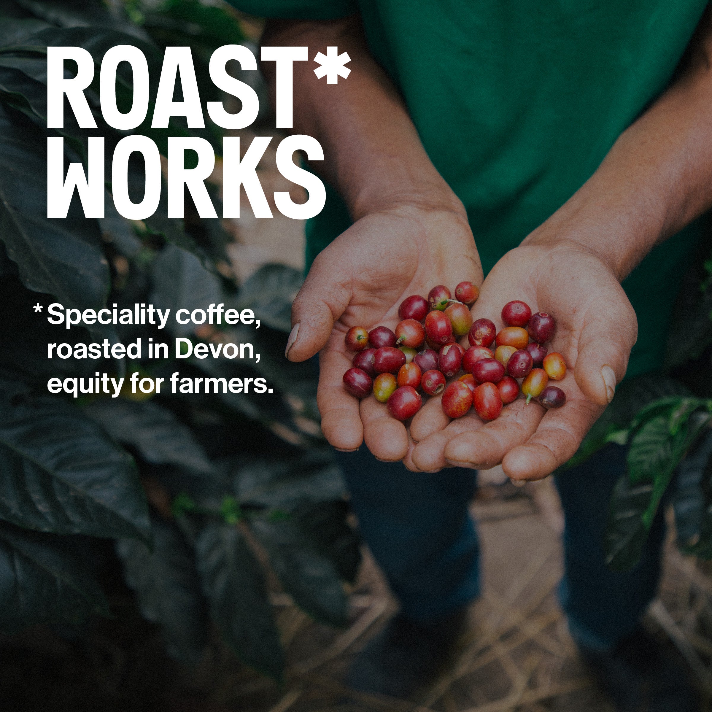 Roastworks - The Truth Coffee Blend
