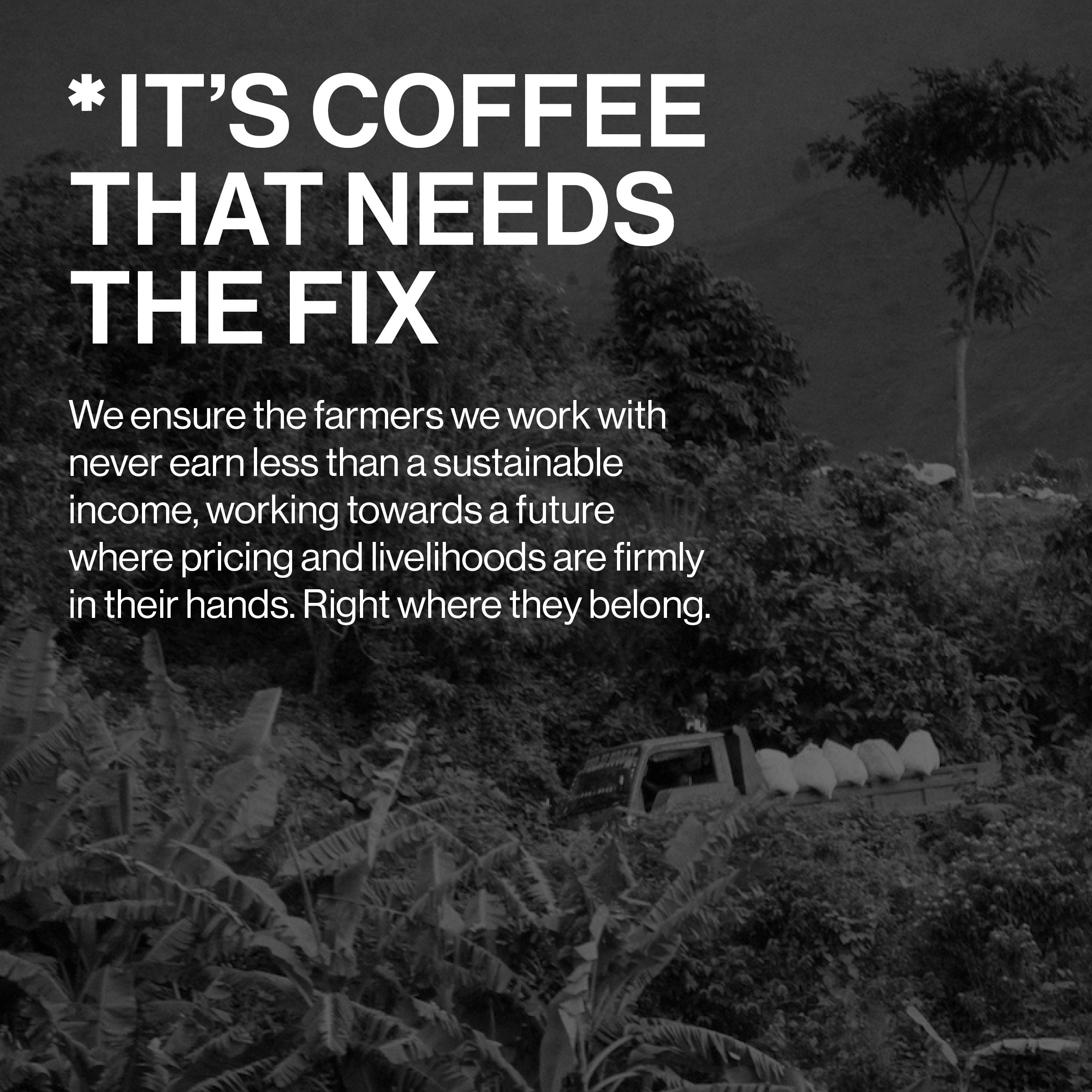 Roastworks - The Truth Coffee Blend