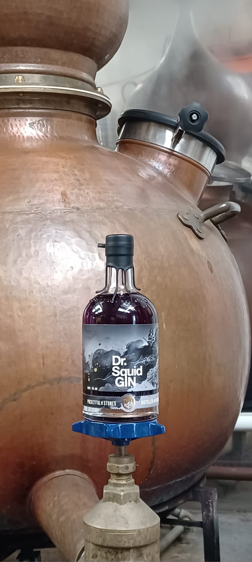 Pocketful of Stones - Dr Squid Gin Nautical Nocturne 40% ABV 70cl