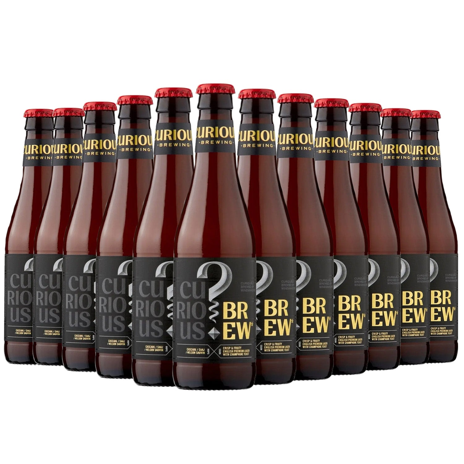 Curious Brewery - Curious Brew Lager 4.7% ABV 330ml Glass Bottle