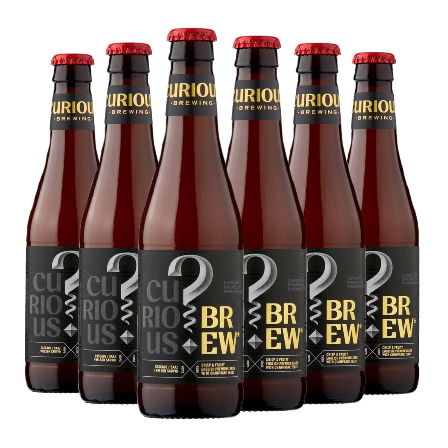 Curious Brewery - Curious Brew Lager 4.7% ABV 330ml Glass Bottle