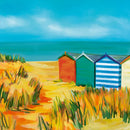 Adnams Dry Hopped Lager Cans 440ml 4.2%-4