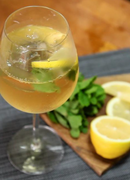 Sandeman Fine White Port & Tonic Bundle | White Porto with 3 Premium Indian Tonic Waters-5