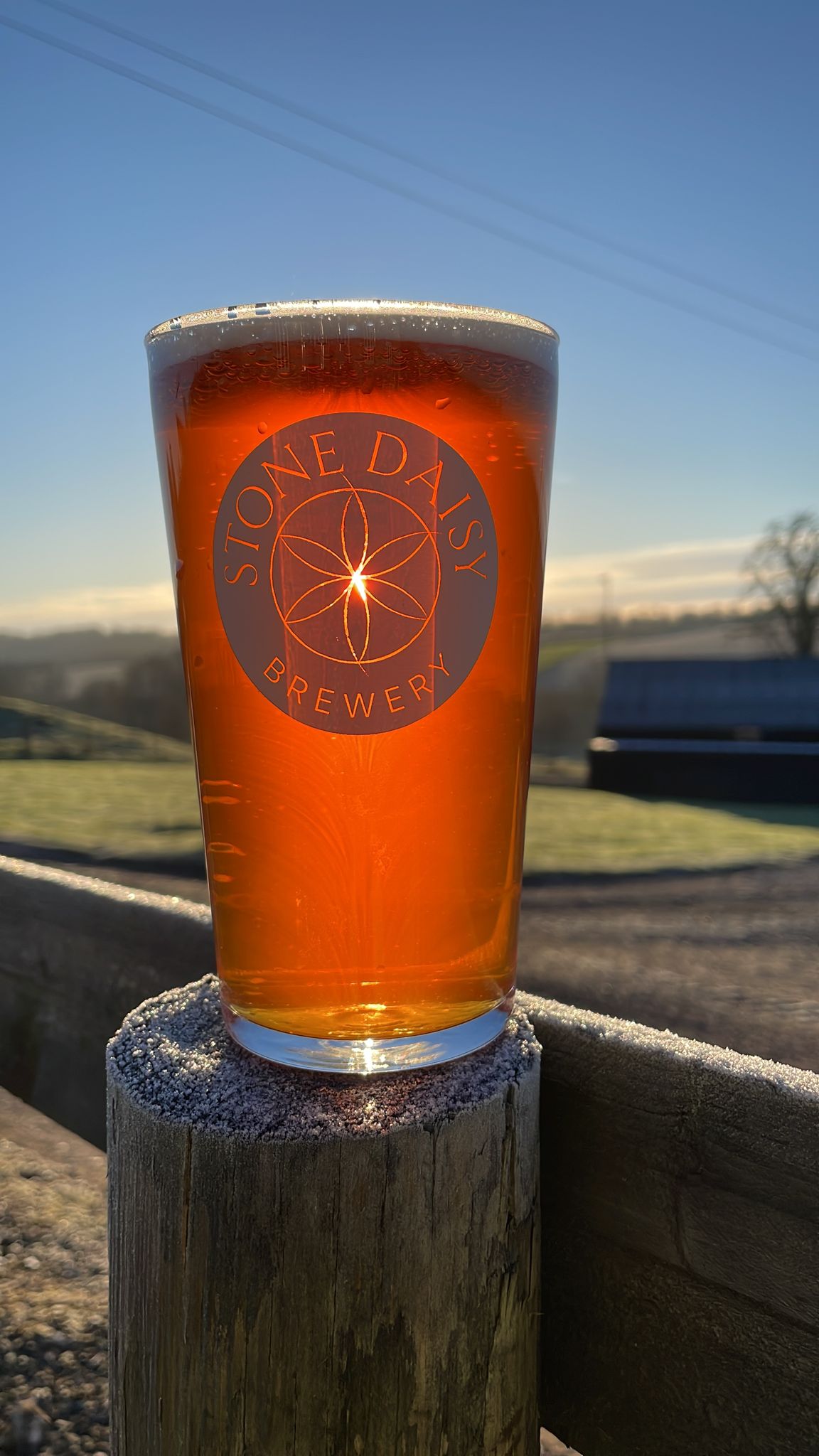 Stone Daisy Brewery - Park Bottom IPA 500ml Glass Bottle