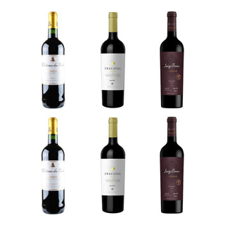 Premium Malbec Wine Selection – 6 Bottles