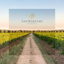 Timo Vermentino 12.5% ABV San Marzano Salento IGP 75cl-2