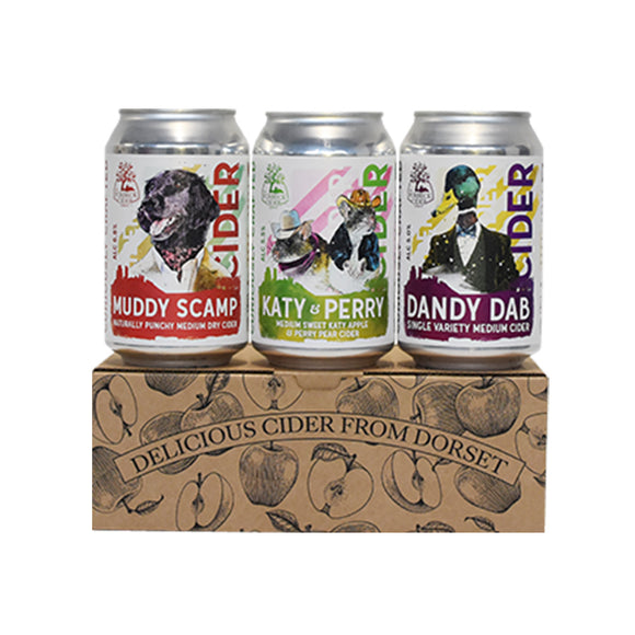 The Purbeck Cider Company – Craft Cider Gift Set - 3 x 330ml cans