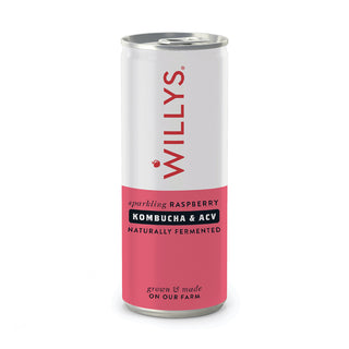 Willys ACV - Willy's Sparkling Raspberry, Kombucha & ACV Drink (Apple Cider Vinegar) 250ml Can