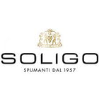 Soligo logo 6182673f 0e27 4e9c a6f5 a6e6d9470382