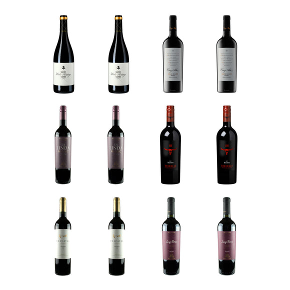 Discover Malbec Wine Selection – 12 Bottles