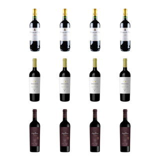 Premium Malbec Wine Selection – 12 Bottles